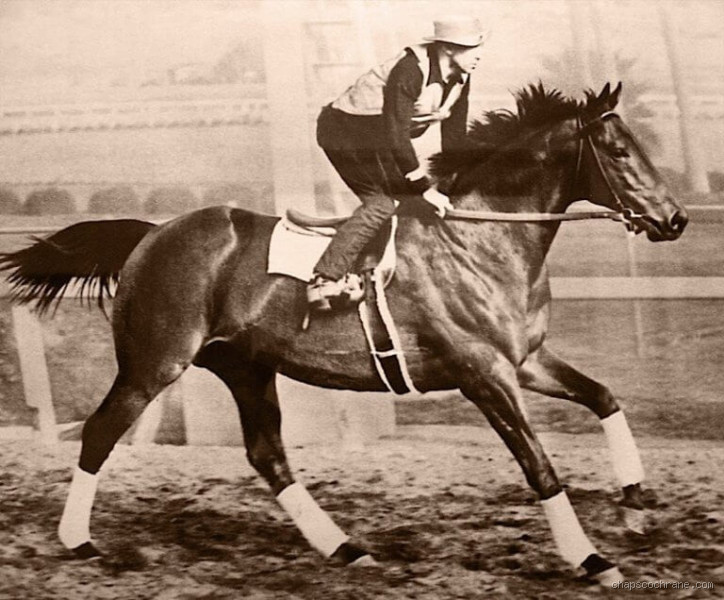 What Did George Woolf Say About Seabiscuit? Discover the Famous Words