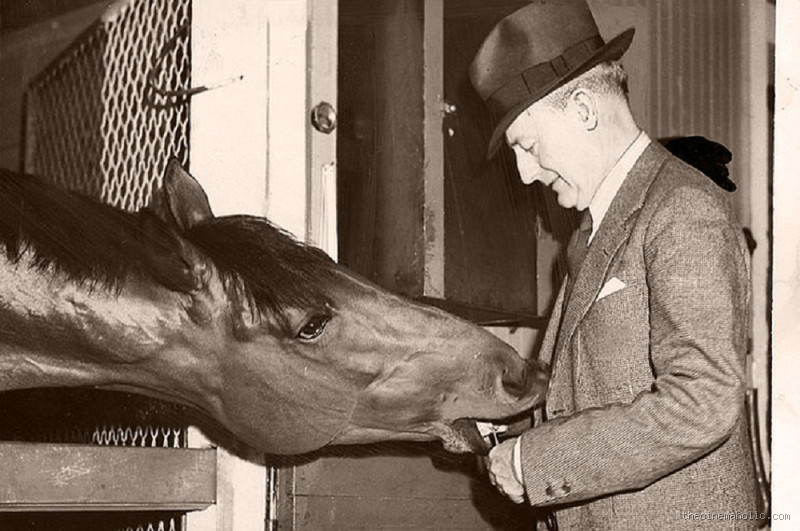 What Happened to the Real Seabiscuit? The Untold Story of an American Legend