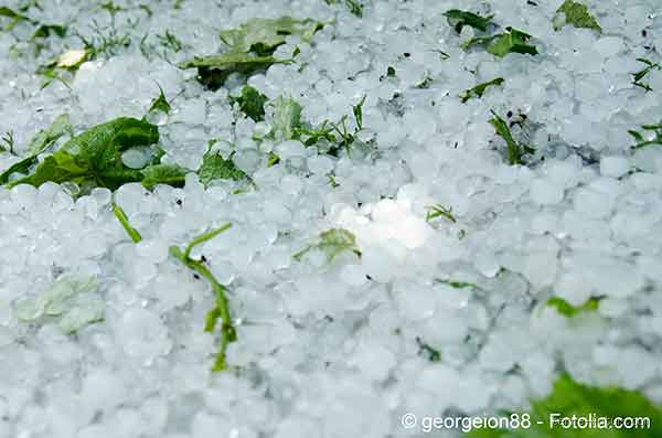 What Is the Name of Jesus' Wife in the Bible? The Truth Behind the Mystery