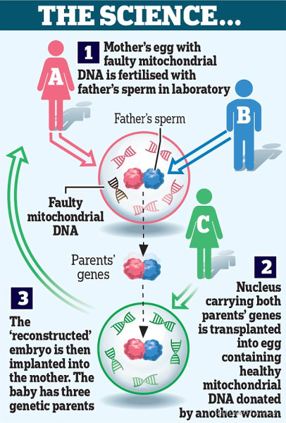 Can a Baby Have 3 Fathers? Exploring the Science and Possibilities
