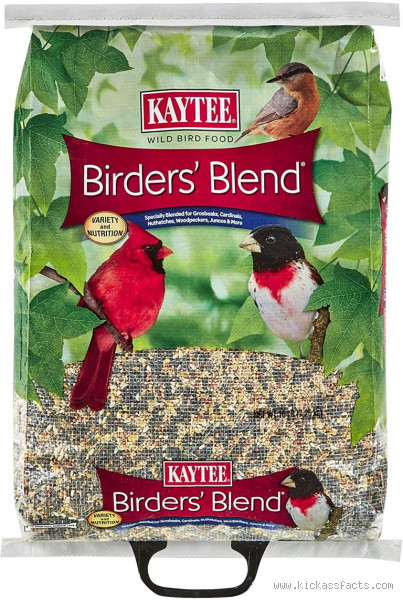 Affordable Alternatives to Bird Seed: Save Money While Feeding Birds