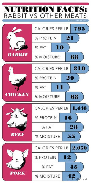 Why Isn't Rabbit Meat Farmed More Widely?