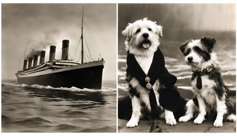 Is it True That 3 Dogs Survived the Titanic? The Story Behind the Myth