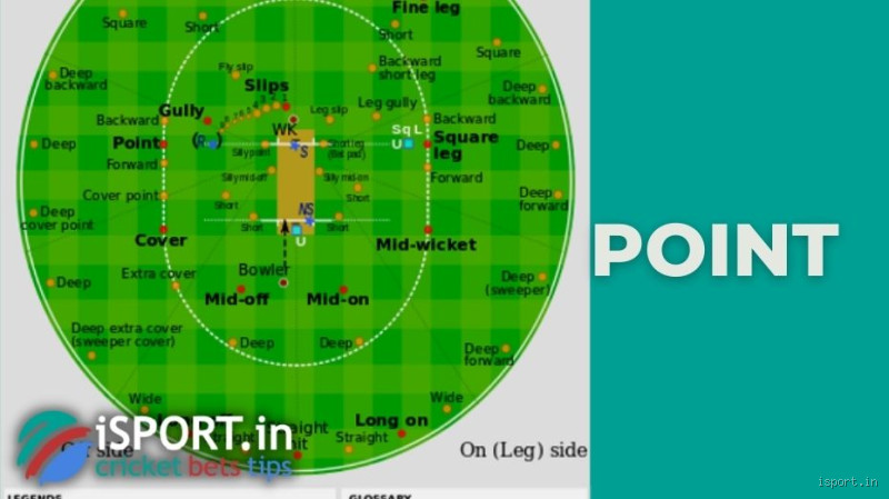 What Are Points in Cricket Called?