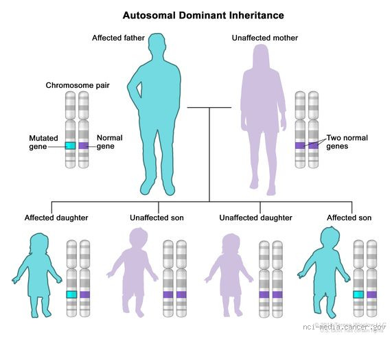 Are Father's Genes Dominant? The Truth Behind Inheritance