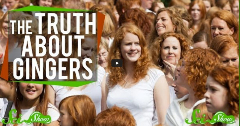 Are Redheads More Tolerant? What Science and Stories Say