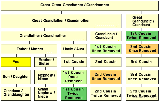 Are You More Closely Related to Your Uncle or Cousin? The Surprising Truth