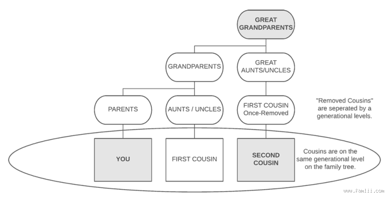 Are You Related to Your Second Cousin? Unpacking the Family Tree
