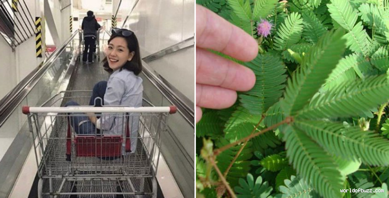 Are You Still a Kid at 20: Navigating the Threshold of Adulthood?