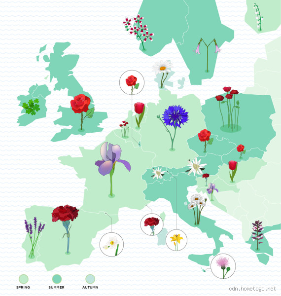 Can a Borderline Ever Be Normal? Unraveling the Complexities