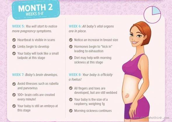 Can a Mother of 2 Months Baby Get Pregnant? 🤯 What You Need to Know
