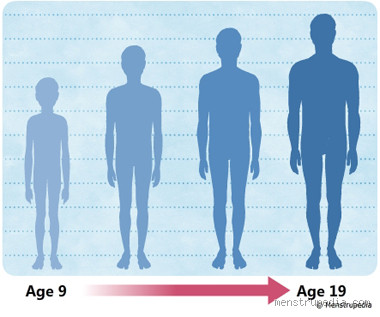 Can Boys Grow Taller After 28?