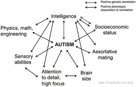 Can High Intelligence Mimic Autism? What Experts Are Discovering