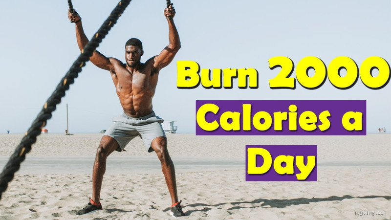 Can You Bulk on 2000 Calories a Day? The Surprising Truth!
