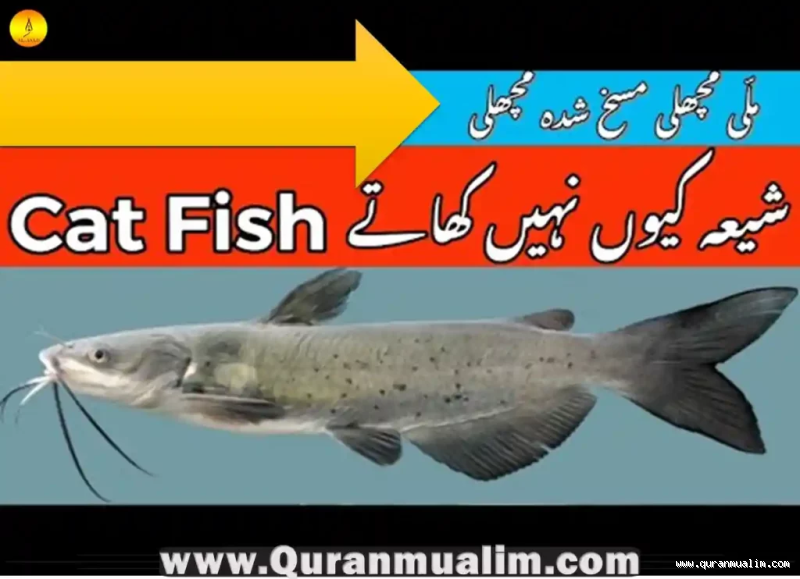 Can Muslims Eat Catfish? Discover the Truth Behind It!