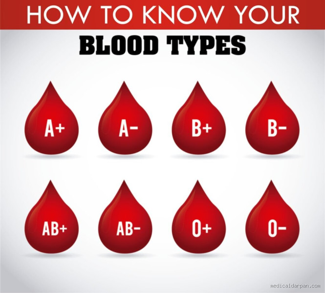 Can My Doctor Tell Me My Blood Type? Here's What You Need to Know