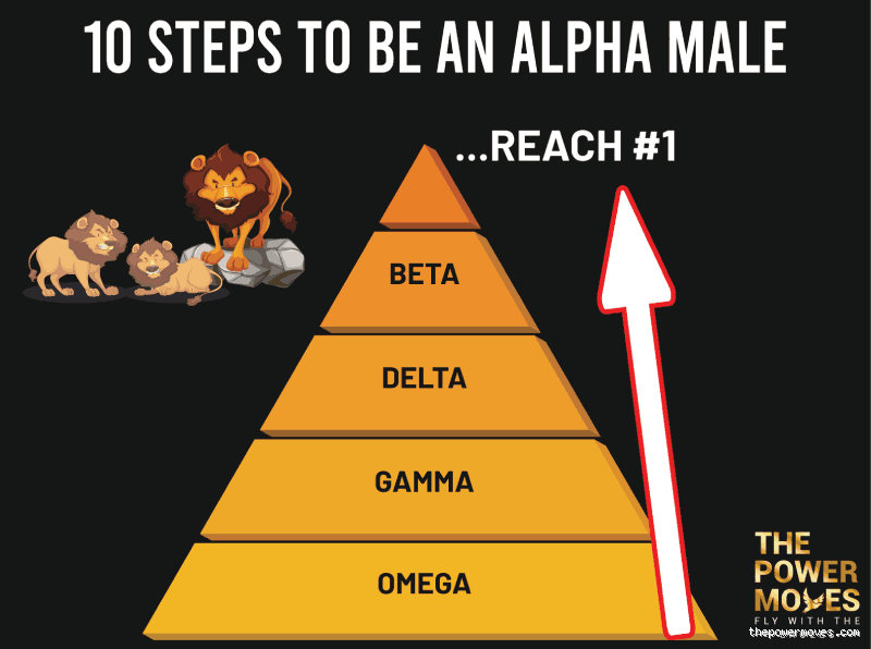 Can Theo Become an Alpha? Unlocking the Secrets to Leadership