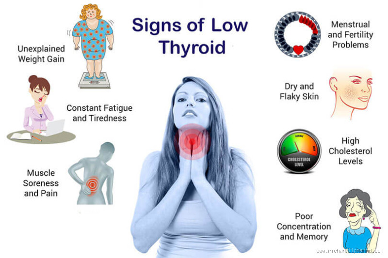 Can Thyroid Cancer Cause Weight Gain? Here's What You Need to Know