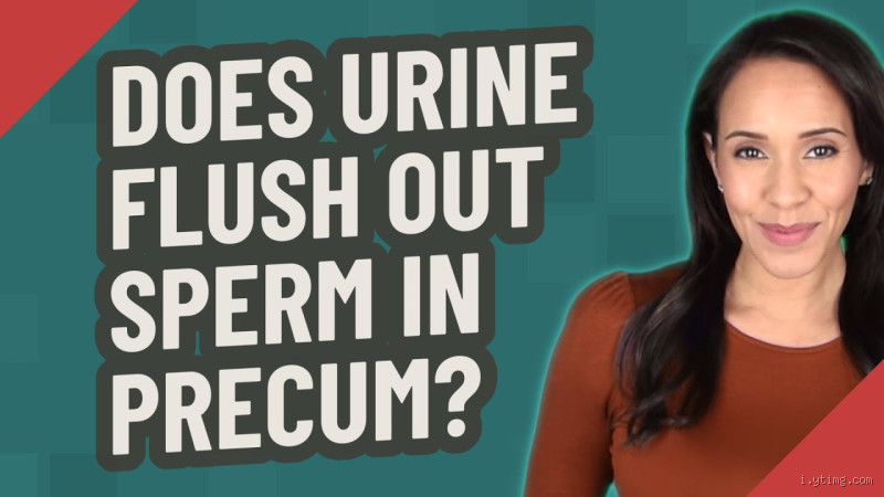 Can Urinating Flush Out Sperm? The Truth You Need to Know