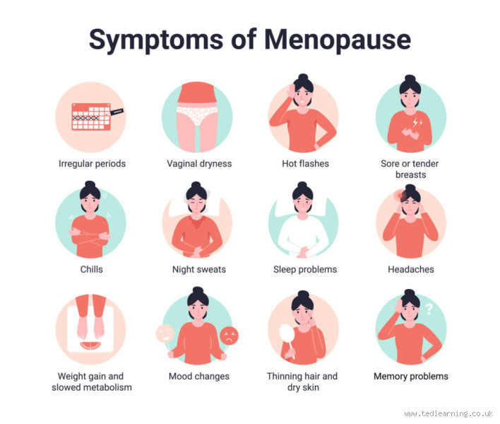 Can You Be 54 and Still Not in Menopause?