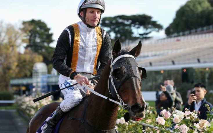 Did Damien Oliver Get Suspended? The Truth Behind the Suspension