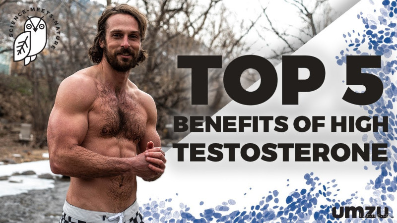 Does Higher Testosterone Make Men More Attractive? Debunking the Myth