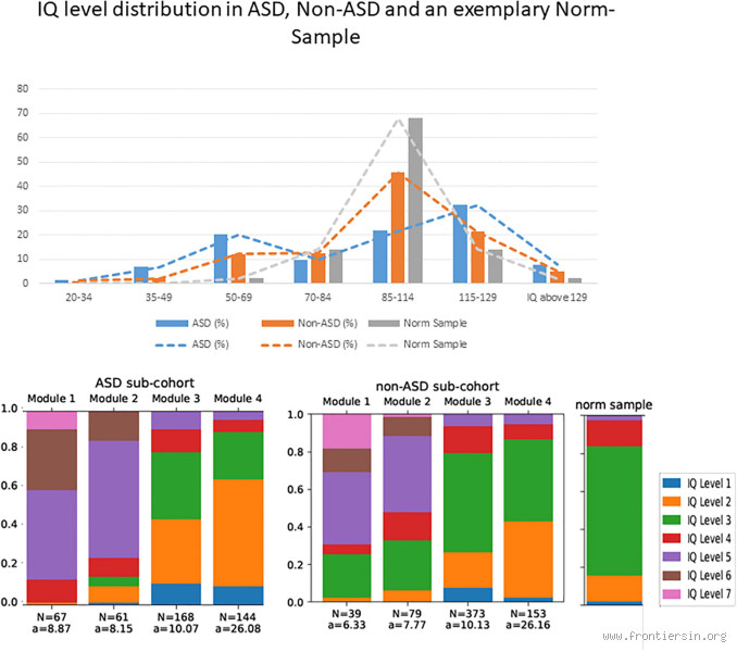 Do Autistic Kids Have Normal IQ?