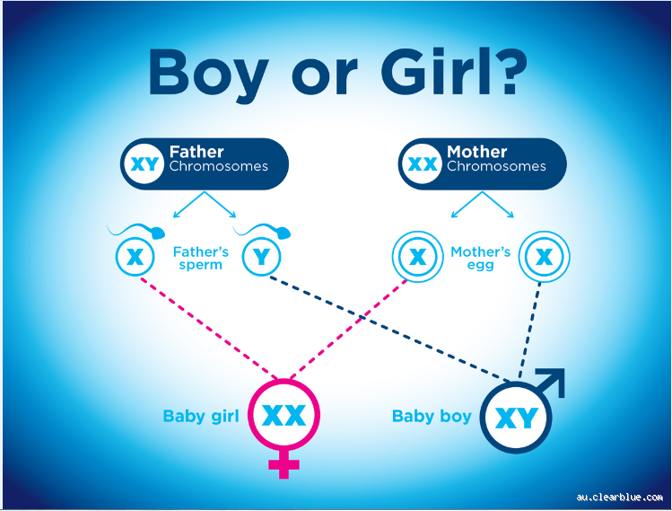 Do Boys or Girls Hear Better? The Surprising Truth Revealed!
