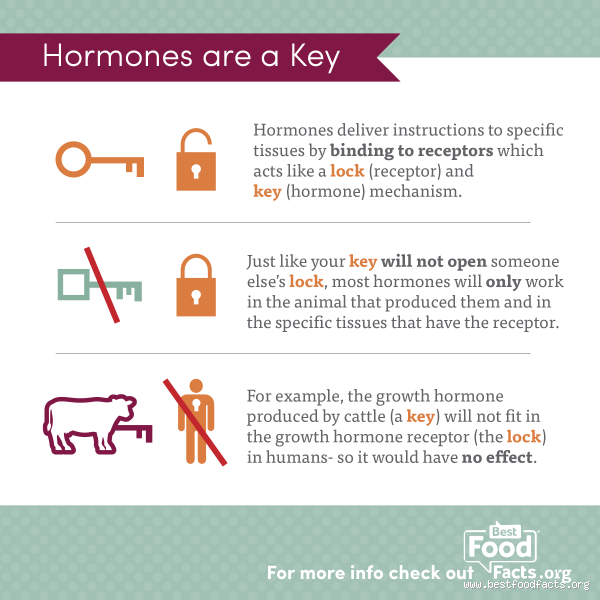 Do Hormones in Food Cause Early Puberty?