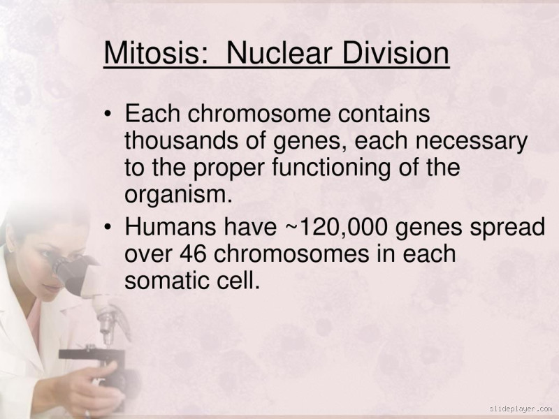 Do humans have around 120,000 genes? Let's break it down!