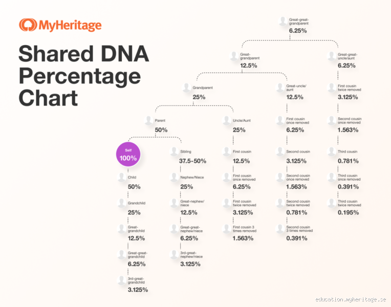 Do I Share More DNA with My Aunt or Cousin? The Surprising Truth