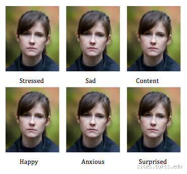 Do Schizophrenics Get Jealous? Understanding Emotions in Schizophrenia