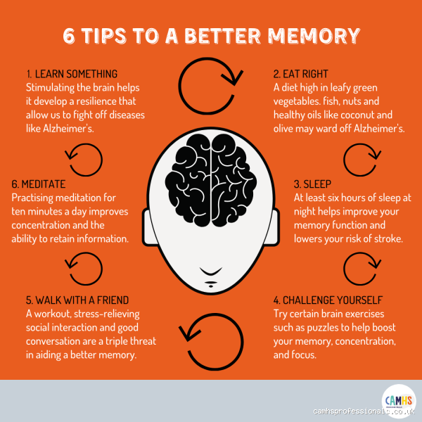 Do Smart People Have Better Memory: Uncovering the Surprising Truth?