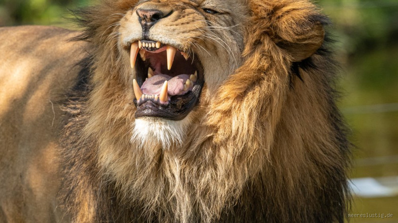 Does Age Matter on TikTok? The Truth Behind the Hype