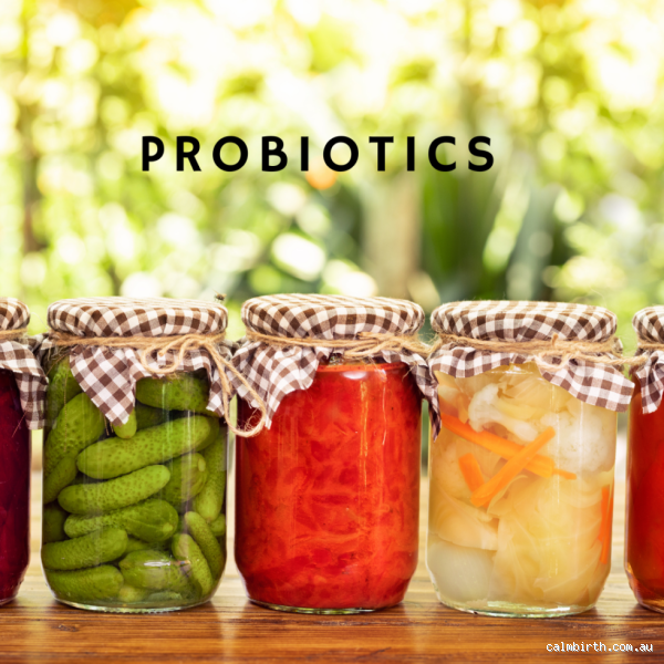 Can Lactobacillus Reuteri Increase Testicle Size? Debunking Myths and Understanding Probiotic Benefits