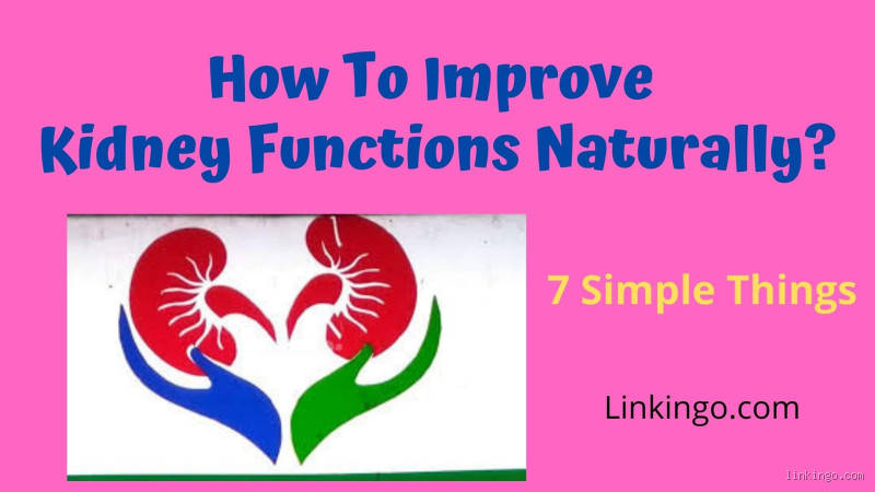 How Can I Rebuild My Kidney Function? A Step-by-Step Guide