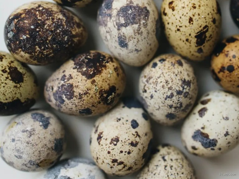 How can you tell if a chick is alive in an egg?