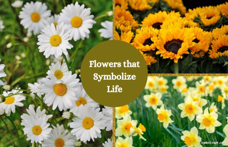 How Do Flowers Represent Life? Discover Their Deeper Meaning