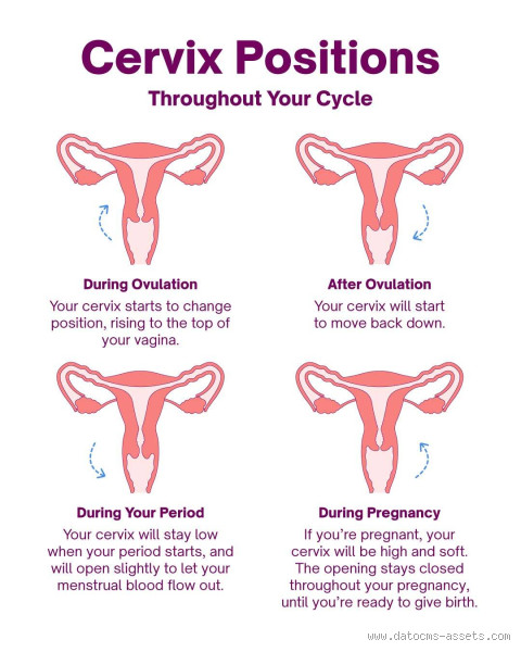 How Do I Know if My Cervix is Open at 36 Weeks? Here’s What You Need to Know