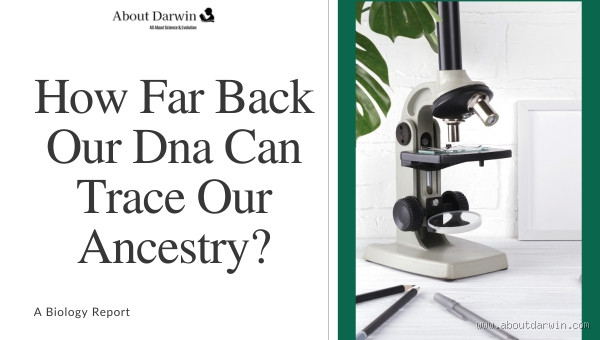How Far Back Can DNA Be Traced? Unveiling the Mysteries of Our Ancestry