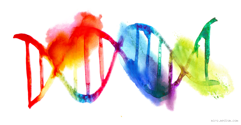 How is a Person's Character Formed? The Hidden Forces Shaping You