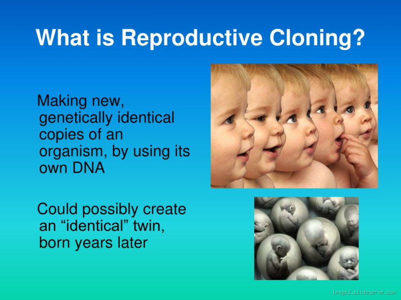 How likely is human cloning?