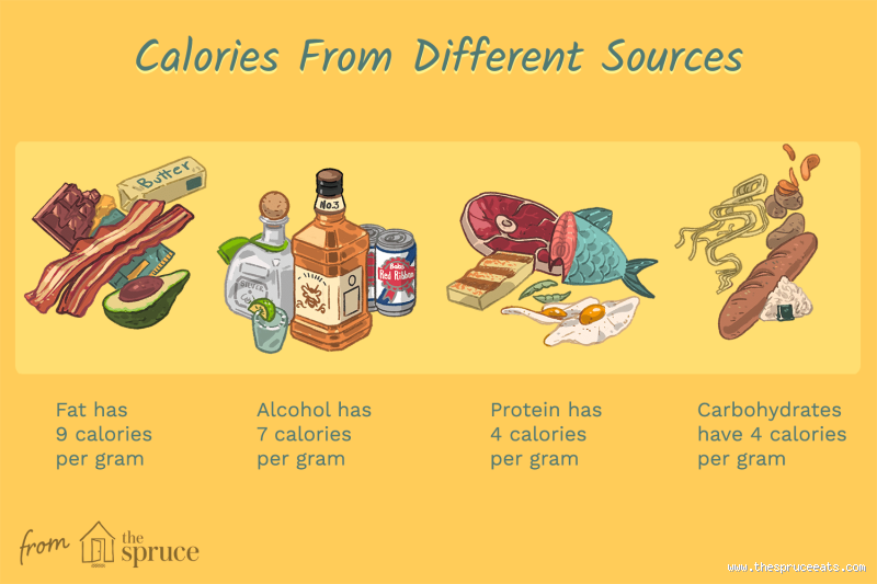 How Many Calories Are in 10 kg of Fat? Find Out the Truth!
