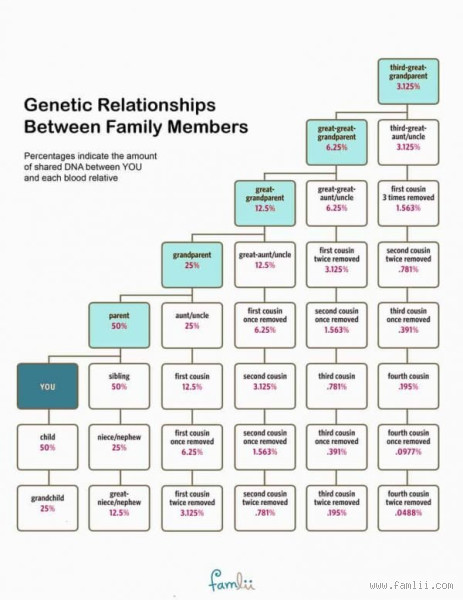 How Much DNA Do Half 1st Cousins Share? Understanding the Genetics
