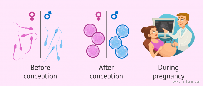 How Much Does It Cost to Choose the Gender of Your Baby?