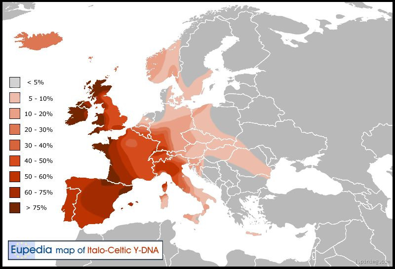 How Much of Scottish DNA is Celtic? Unraveling the Truth