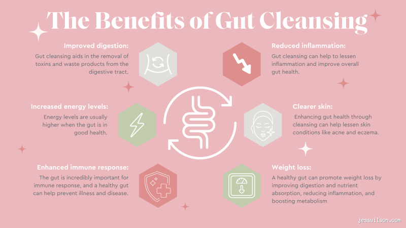 How Often Should I Detox My Gut? The Truth You Need to Know