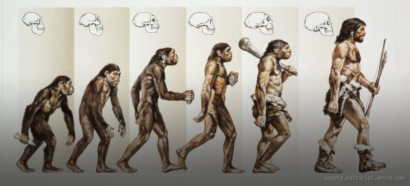 How Old Are Humans? Unraveling the Age of the Human Race