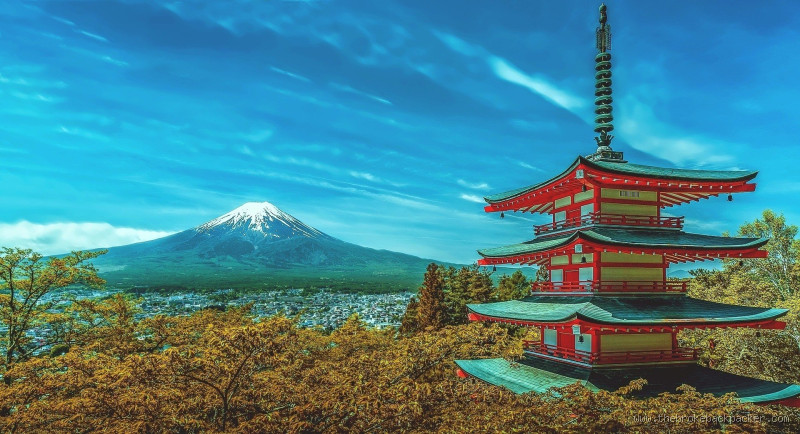 How Safe is Japan for Tourists? Your Ultimate Travel Guide