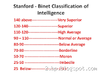 How smart is 113 IQ?